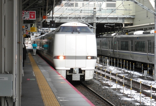 しらさぎ.JPG