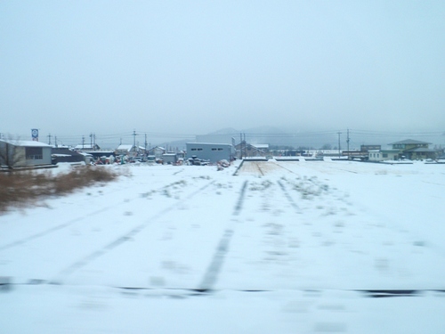 しらさぎ車内帰途.JPG
