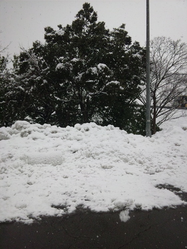 北陸道2.jpg